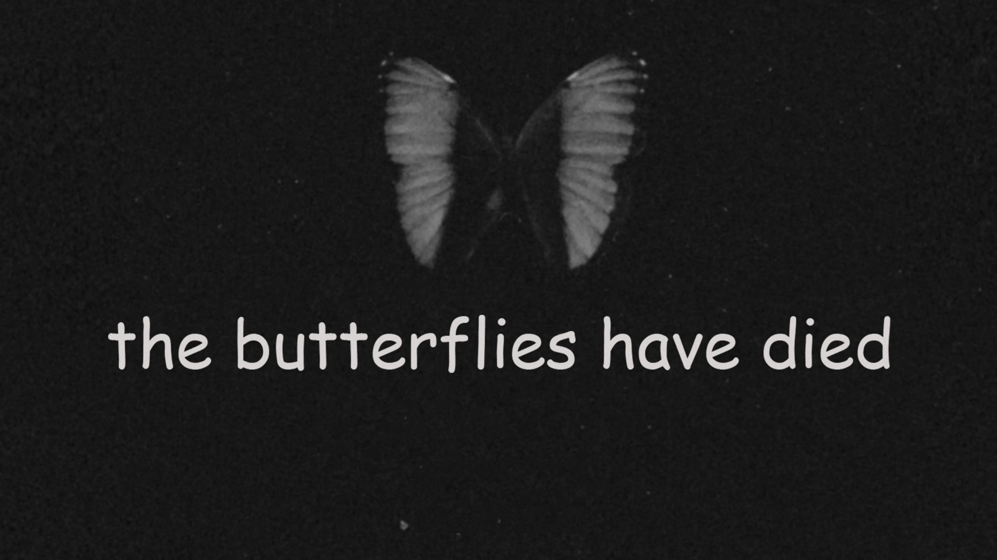 The butterflies have died poster